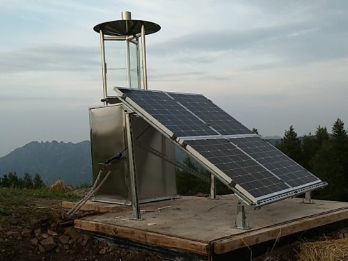 病蟲測報燈對榕樹蟲害防治測報分析