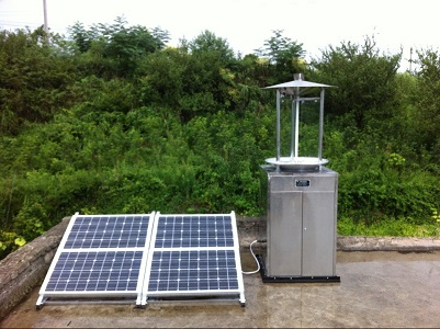 如何預防蟲害防治?