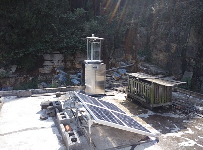 如何監測害蟲分類?