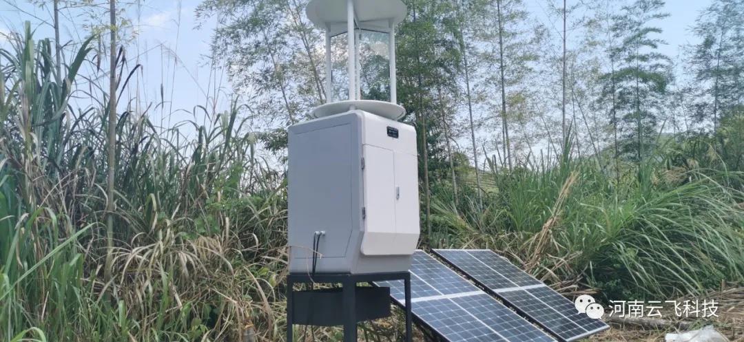 智能蟲情測報燈