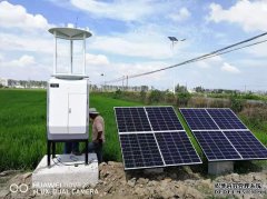 遠程拍照式蟲情測報燈工作原理